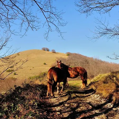 Ouverte Sur Le Monde Σπίτι διακοπών Costa (Umbria)